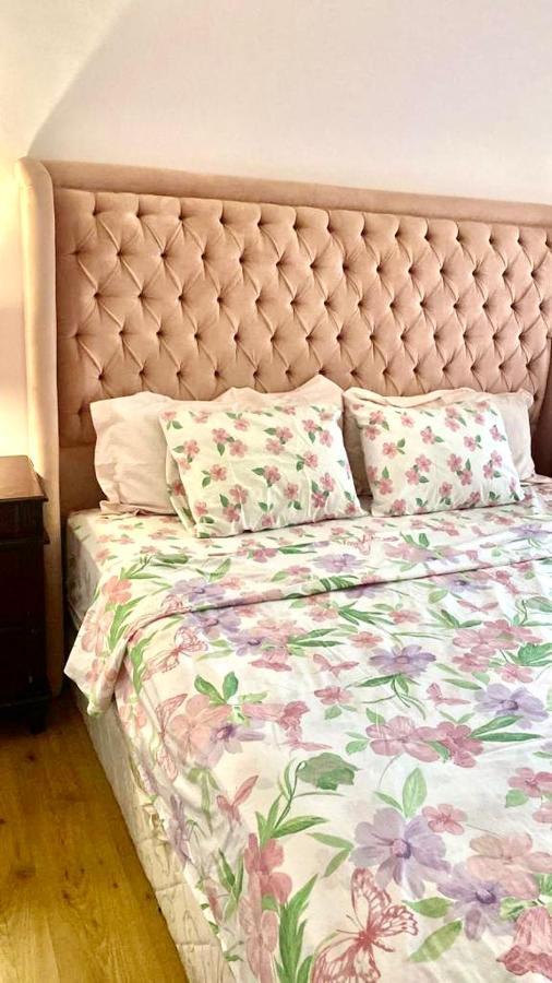 Luxurious 3 Bedroom Rustic Apartment Overlooking Huge Garden - For Families And Couples ไคโร ภายนอก รูปภาพ
